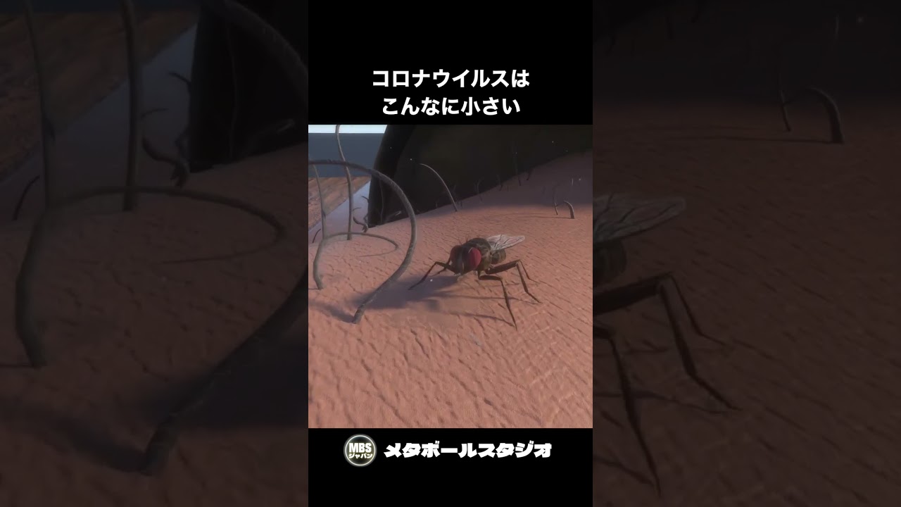 1747887688_maxresdefault-6448233-6781412-jpg