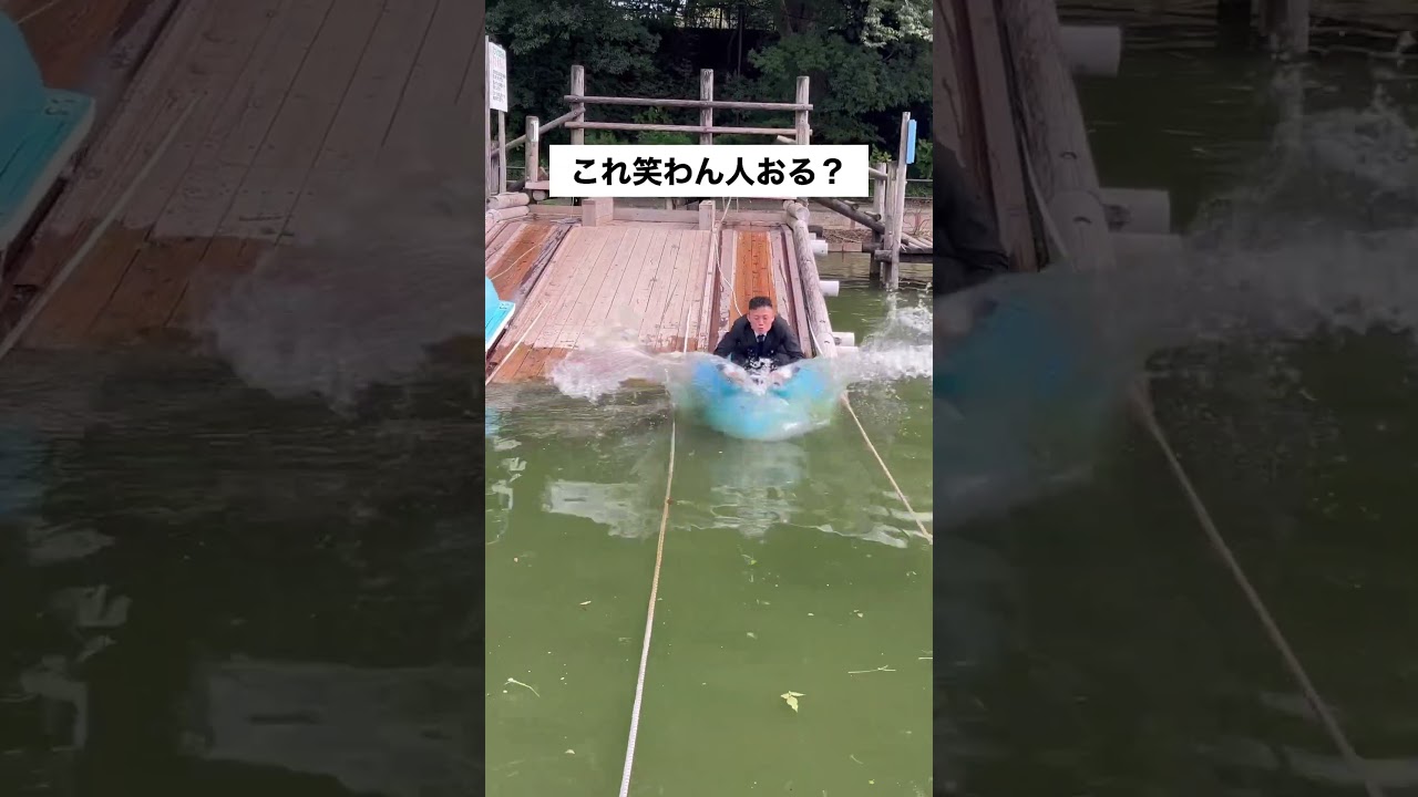 1763485315_maxresdefault-3093291-8213613-jpg