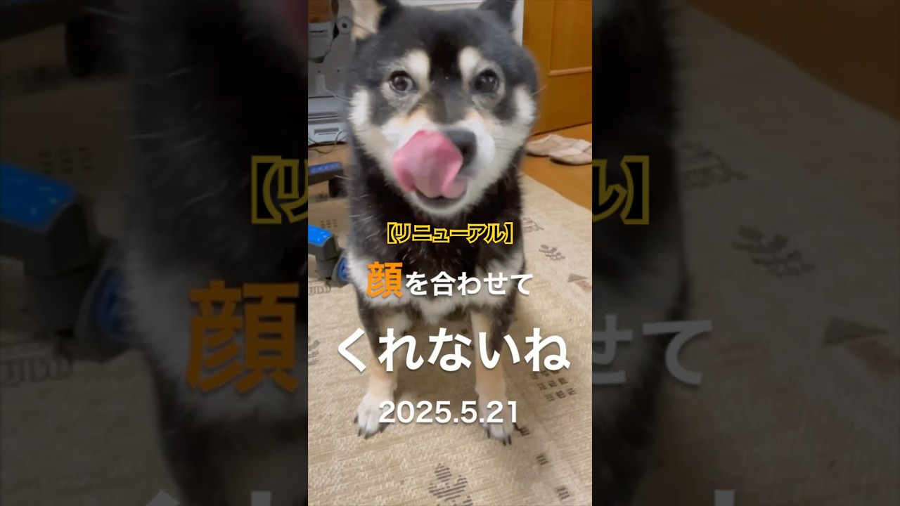 1764264864_maxresdefault-3422865-3940777-jpg