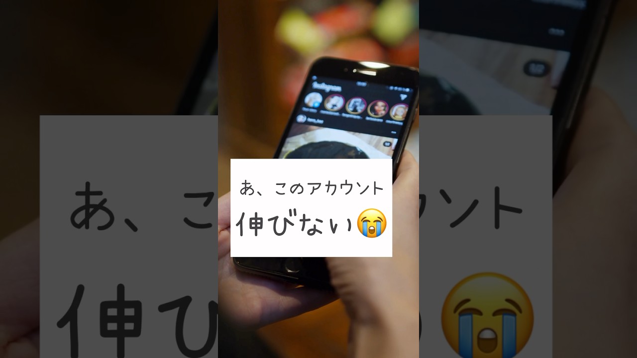 1766026885_maxresdefault-1964214-8170373-jpg