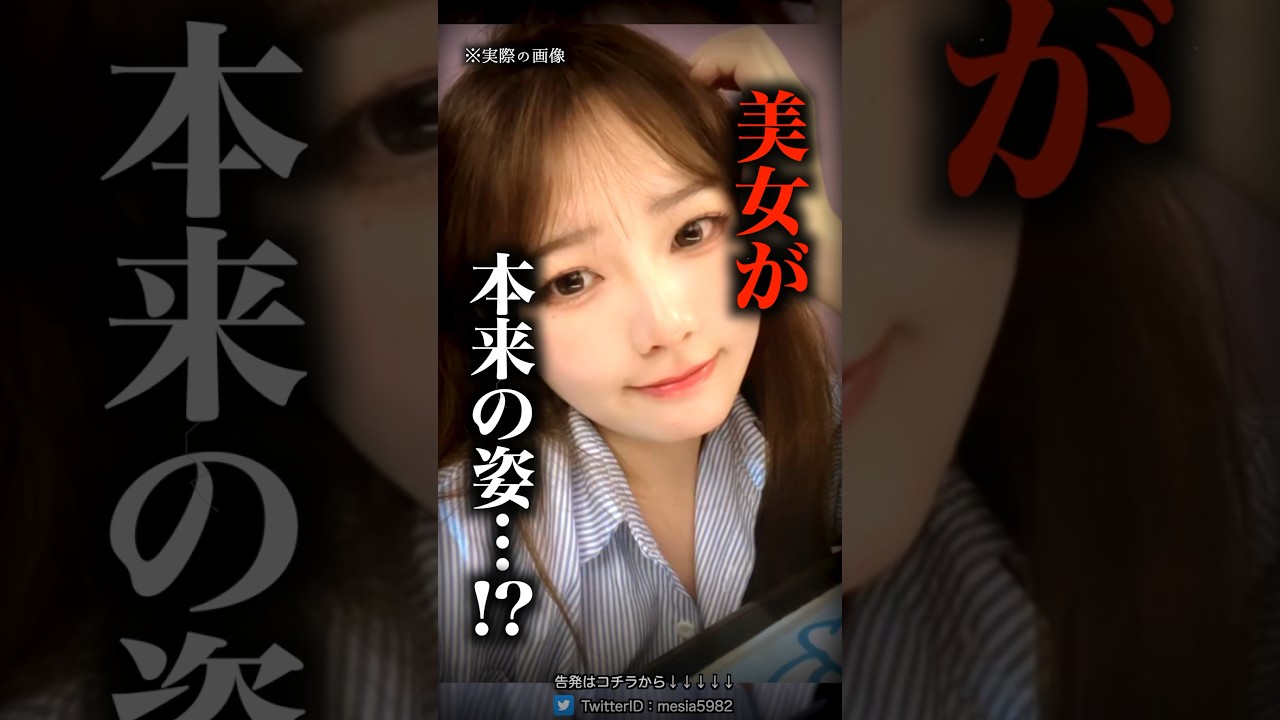 1766633585_maxresdefault-2796659-4050127-jpg