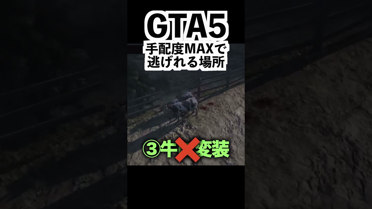 1767586819_maxresdefault-6996380-9967856-jpg