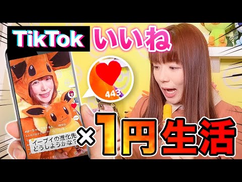 1767701546_hqdefault-5688703-2968071-jpg