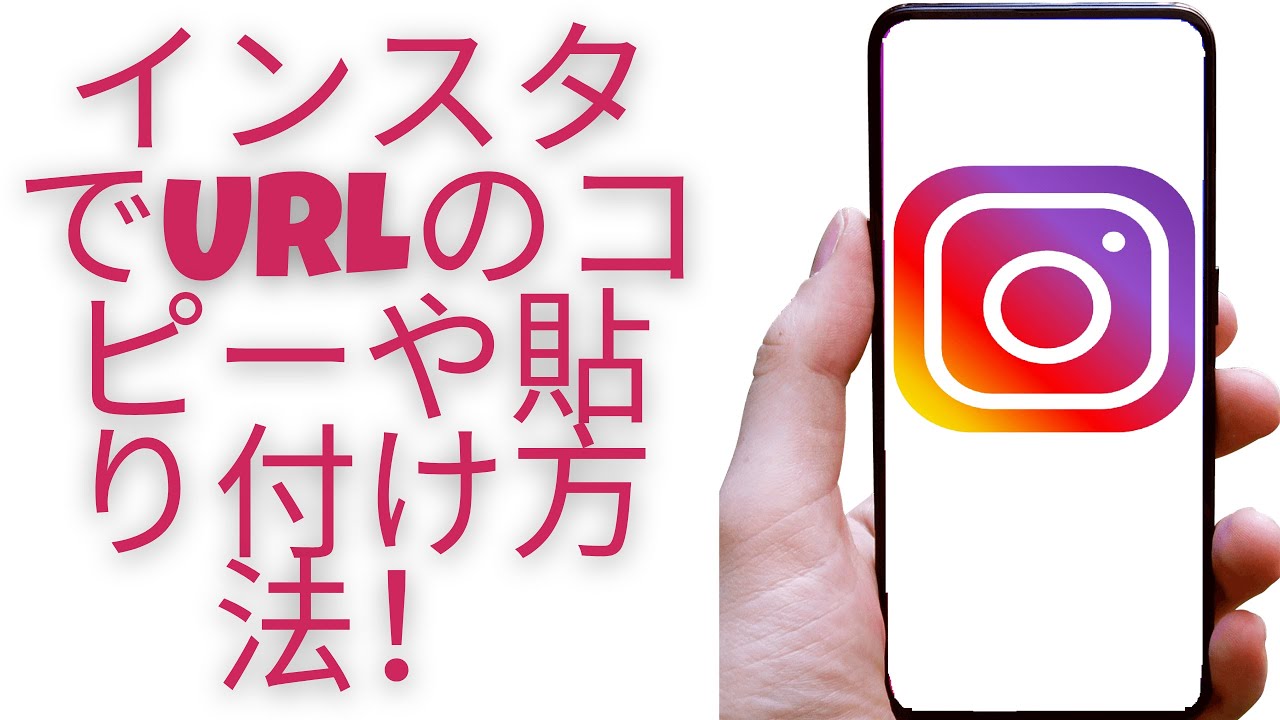 1768972700_maxresdefault-8045981-4036791-jpg