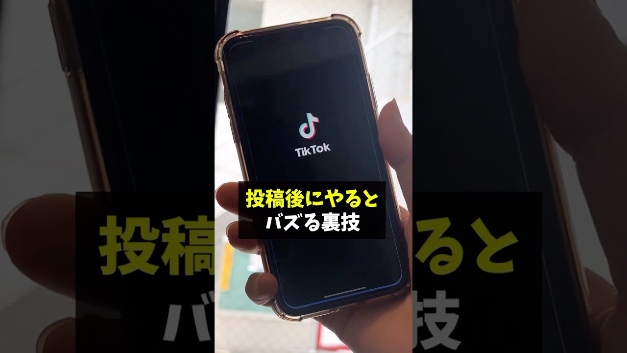 1769060056_maxresdefault-5019291-2464867-jpg