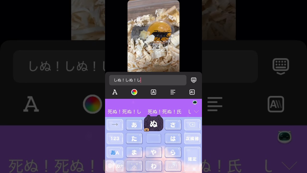 1769290416_maxresdefault-2897786-7055572-jpg