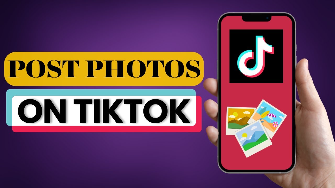 1769434722_maxresdefault-7290057-9035832-jpg